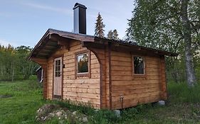 Lapland Snow Moose